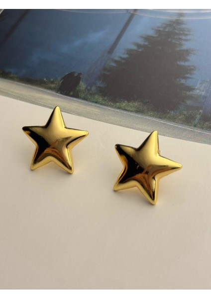 Yıldız Küpe Altın Kaplama Küpe Kararmaz Kutulu fiyatları