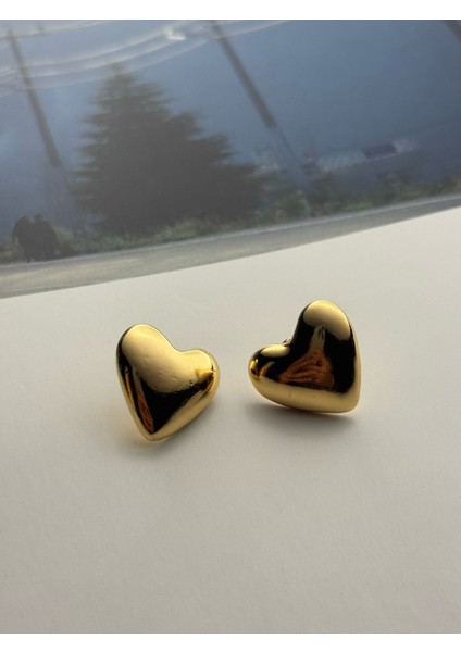 Kalp Küpe Altın Kaplama Küpe Kararmaz Kutulu