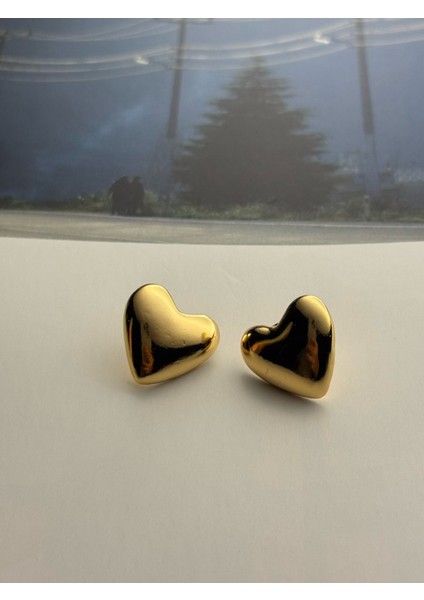 Kalp Küpe Altın Kaplama Küpe Kararmaz Kutulu fiyatları