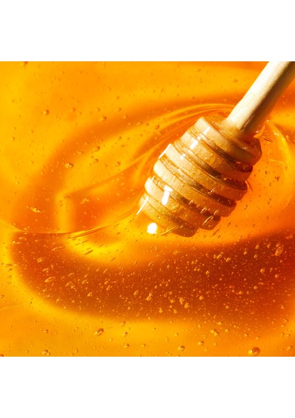 Nuxe Reve De Miel Lip Sticks 2x4 gr fırsatları