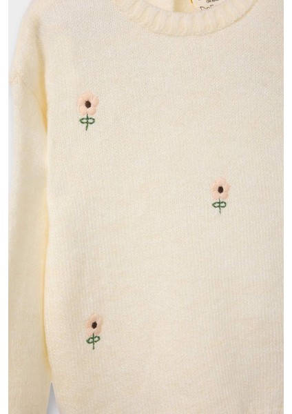 Kız Bebek Bisiklet Yaka Çiçekli Triko Kazak F2632A525WN fiyatları