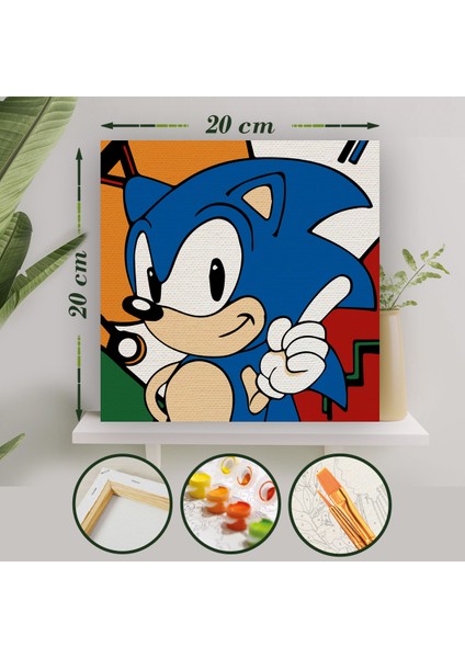 Sayılarla Boyama 20X20 Tuval Seti Fırça Boya Dahil Çıtaya Gerili - Sonic