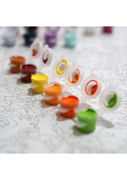 Sayılarla Boyama 20X20 Tuval Seti Fırça Boya Dahil Çıtaya Gerili - Yılbaşı Evi fırsatları