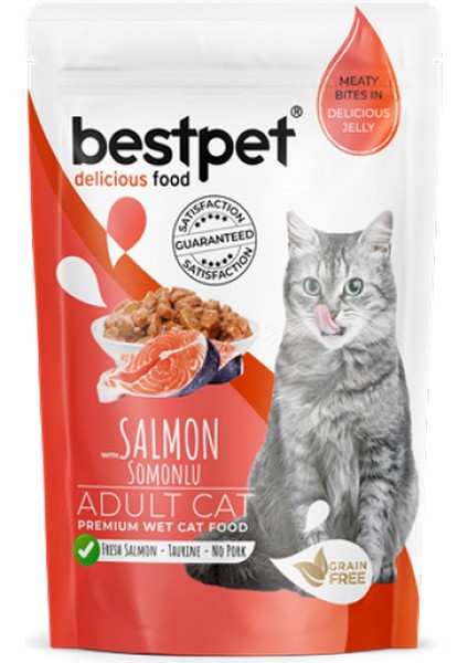 Mtxdpn Bestpet 85 gr x 24 Adet Yetişkin Kediler Için, Tahılsız, Jöle Içinde Somon Parça Etli Yaş Mama