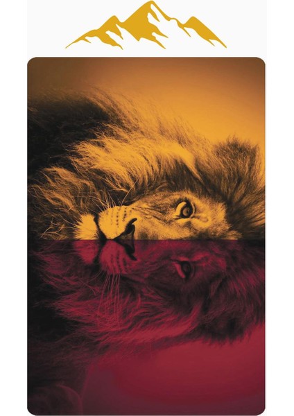 Parlak Kadife Kumaş Dijital Baskı Dot Kaymaz Tabanlı Çocuk ve Genç Odası Halısı H0707 modelleri