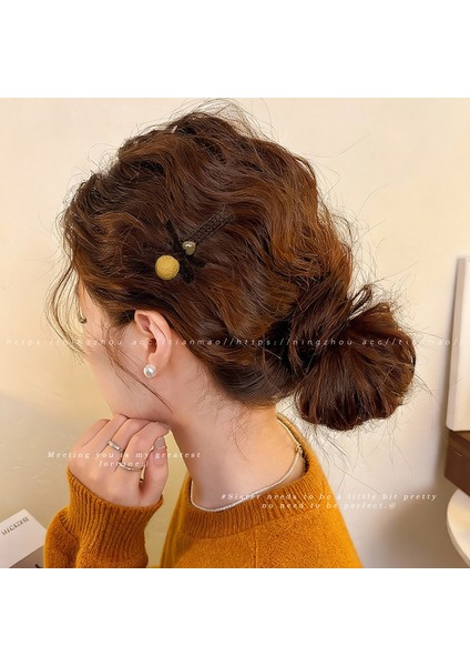 Metal Niş Tasarım Duygusu Sonbahar ve Kış Klipleri Kızlar Sevimli Ins Saç Tokası Çocuk Mizaç Saç Kartı (Yurt Dışından)