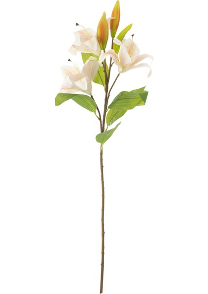 LILYUM ÇİÇEĞİ 86 CM