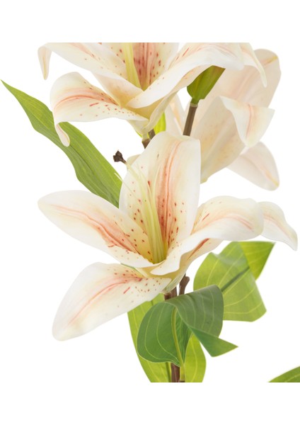 LILYUM ÇİÇEĞİ 86 CM fiyatları