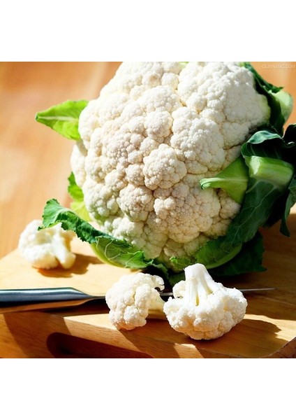 Erkenci Kartopu Karnabahar Tohumu Brassica Oleracea