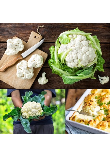 Erkenci Kartopu Karnabahar Tohumu Brassica Oleracea fırsatları