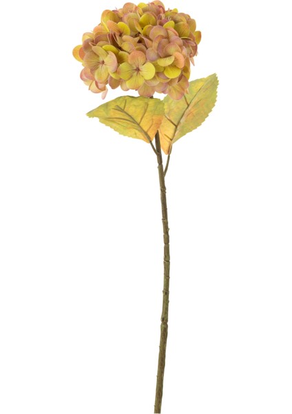 ORTANCA ÇİÇEK AMBER 54 CM