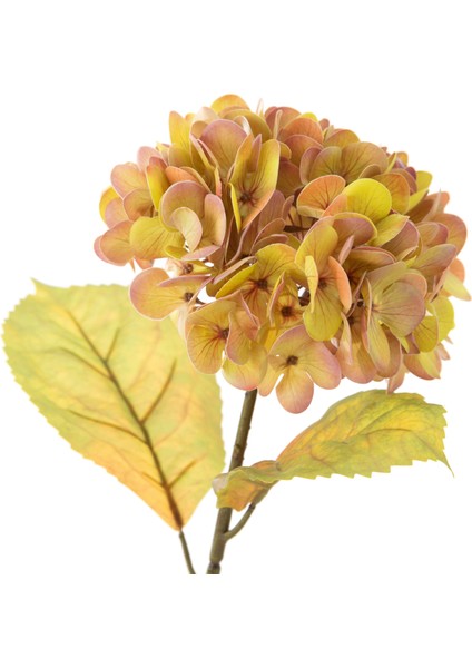 ORTANCA ÇİÇEK AMBER 54 CM fiyatları