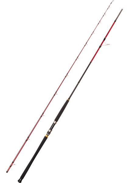 Vector 3.05M 60-150GR Shore Jig Olta Kamışı