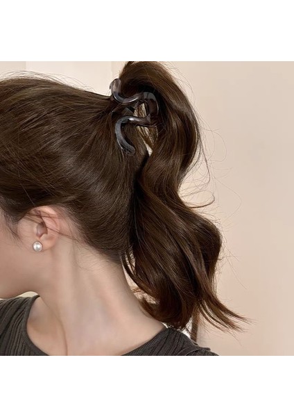 Kepçe Klipsi Büyük Saç Hacmi Büyük Saç Tokası Kadın Başın Arkası Köpekbalığı Klipsi Saç Tokası Yeni Disk Saç Kore Klipsi Şapkalar (Yurt Dışından)