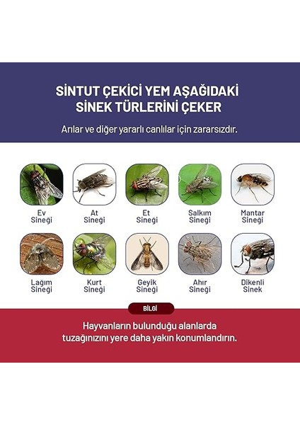Adet 25GR Sintut Karasinek Tuzağı Için Çekici Yem | 200 Gr. indirimleri
