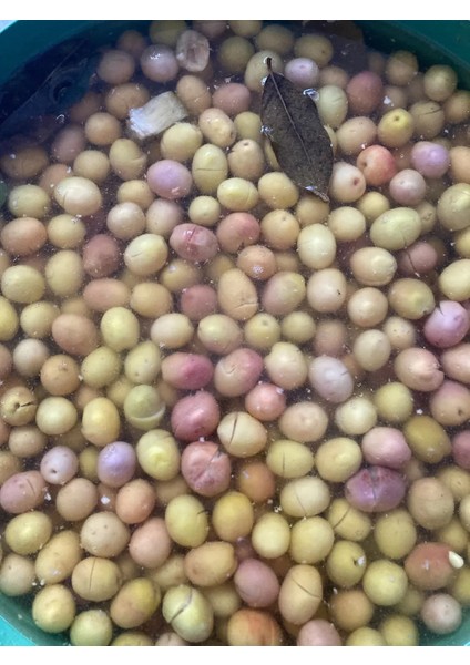 1 kg Yeşil Kırma Zeytin (Edremit - 1 Numara) fiyatları