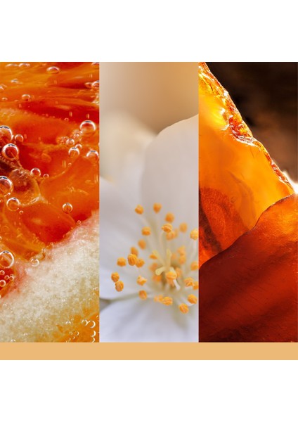 Glistening Leaves Orta Mum modelleri