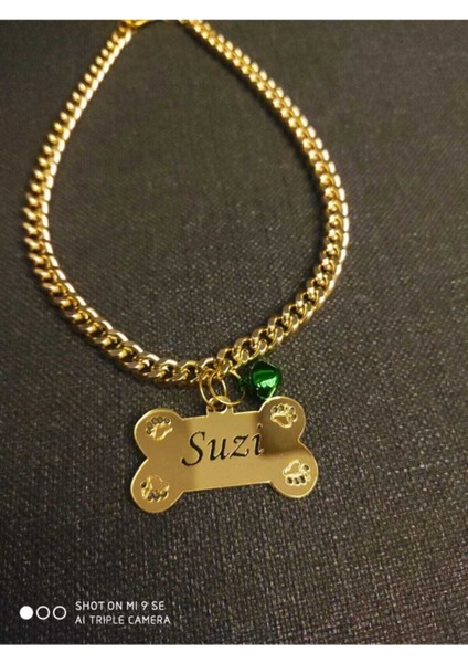 Köpek Isimliği Evcil Hayvan Isimlik Modeli Büyük Irk Isimlik ve Kolye