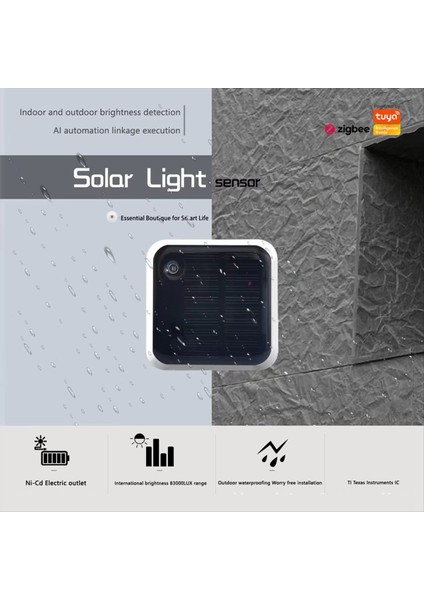Tuya Zigbee Güneş Işık IP65 Su Geçirmez Açık Mekan Parlaklık Dedektörü Gerçek Zamanlı Parlaklık Izleme (Yurt Dışından) fiyatları