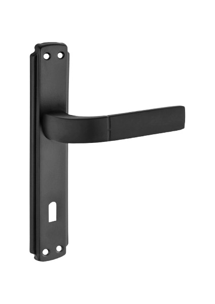 Nergis Kol Aynalı Siyah Oda Kapı Kolu