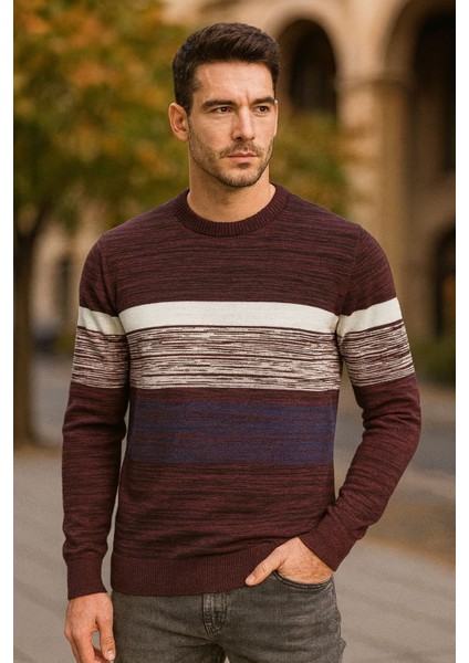 Weisman Pamuk Bisiklet Yaka Çizgili Erkek Triko Kazak