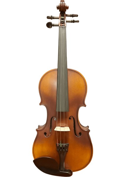 HDV21 4/4 Keman fırsatları