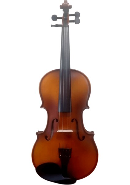 W100 3/4 Keman fırsatları