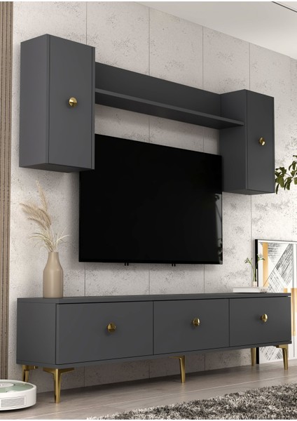 1332TV180-1CT Tv Ünitesi , Tv Sehpası ANTRASİT-ALTIN indirimleri