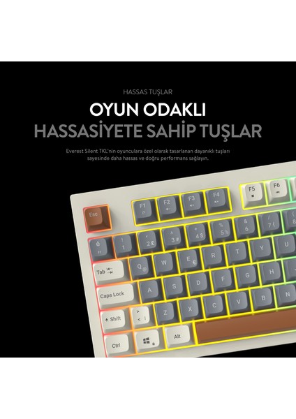 Sılent Tkl Ultra Sessiz Rainbow Q Türkçe Klavye Membrane Oyuncu Klavyesi Beyaz/gri/kahve modelleri