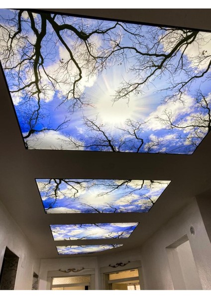 Çok Renkli Koridor Gergi Tavan Modelleri ile Şık Mekanlar