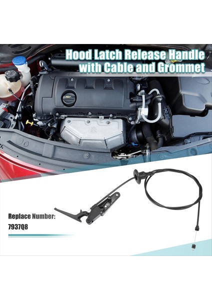 7937Q8 7937 Q8 Kaput Mandalı Serbest Bırakma Kablosu Citroen Berlingo Multispace 2008-2020 Için Kaput Mandalı Serbest Bırakma Kolu (Yurt Dışından) fiyatları