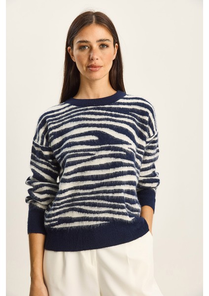 Kadın Zebra Desenli Bisiklet Yaka Şardonlu Triko Kazak fiyatları