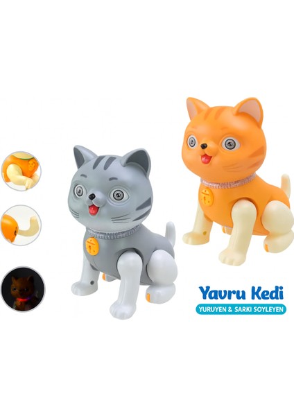 Yürüyen Şarkı Söyleyen Yavru Kedi Oyuncak – Işıklı Sesli Hareketli Kedi