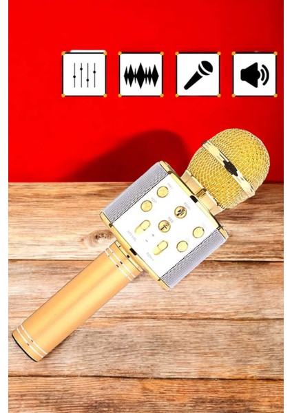 Şarjlı ve Uzun Pil Ömürlü Karaoke Mikrofon USB Bellek Destekli Profesyonel Ses - UD001X-50QSQ2 fırsatları