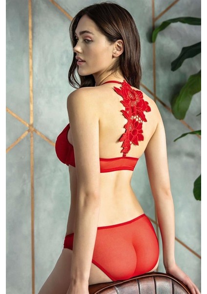 Arias Closet Kadife Balenli Destekli Dolgulu Askıları Çıkabilen Önden Açılan Çıkabilen Sırt Aksesuarlı Sütyen ve Slip Takım fiyatları