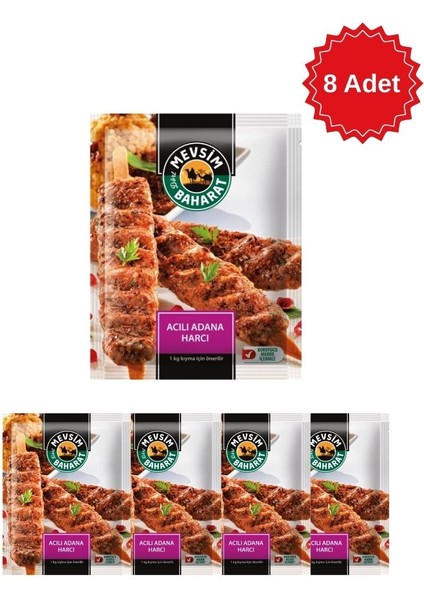 Acılı Adana Kebap Harcı 100 gr - Tam Kıvamında Yöresel Lezzet Baharat Karışımı