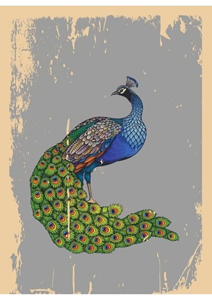 Not Defteri - Melekê Tawis