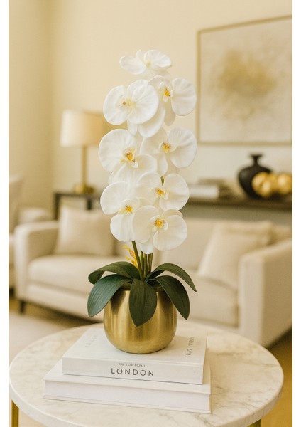 Lüks Cezve Saksı - Beyaz Orkide Aranjman - Metal Saksı Eskitme fiyatları