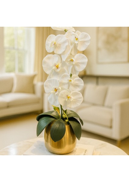 Lüks Cezve Saksı - Beyaz Orkide Aranjman - Metal Saksı Eskitme modelleri