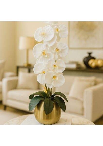 Lüks Cezve Saksı - Beyaz Orkide Aranjman - Metal Saksı Eskitme fırsatları