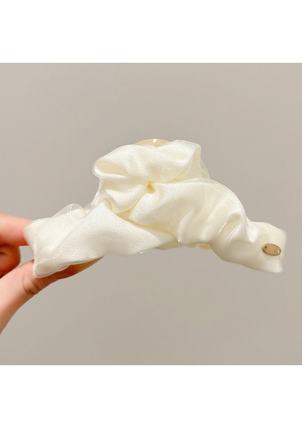 Kepçe Klipsi Büyük Saç Hacmi Büyük Saç Tokası Kadın Başın Arkası Köpekbalığı Klipsi Saç Tokası Yeni Disk Saç Kore Klipsi Şapkalar (Yurt Dışından)