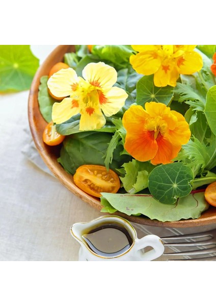 Bodur Latin Çiçeği Tohumu Karışımı Tom Thumb Mix Nasturtium Majus fırsatları