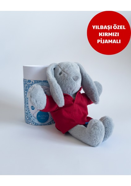 Mona Pışpışlayan Uyku Arkadaşı (Kalın Karton Kutu)