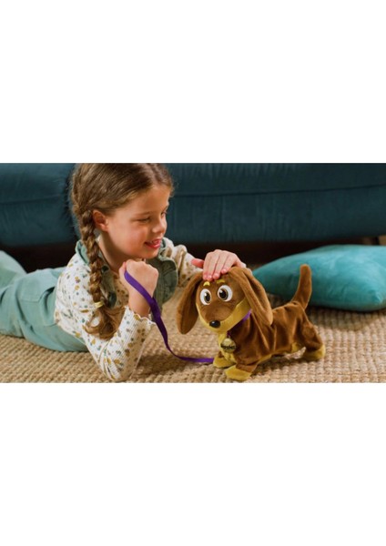 Köpek Diggles modelleri