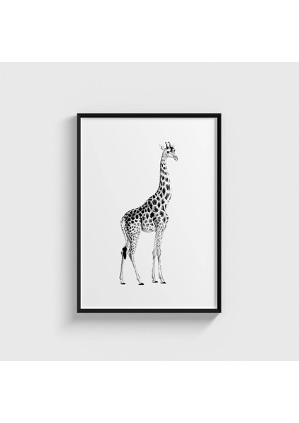 Giraffe Çerçeveli Tablo Ev Oda Duvar Dekorasyonu