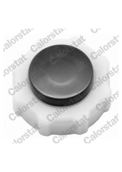 RC0017 Genleşme Kavanoz Kapağı R9-FLASH-R19-R12-TOROS-MGN-CLIO-KNG-EXP-LOGAN-SOLENZA 7700805031-7701021947-7700808836