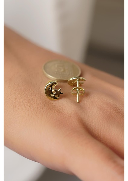 14 Ayar Altın Tasarım Ay Yıldız Küpe indirimleri