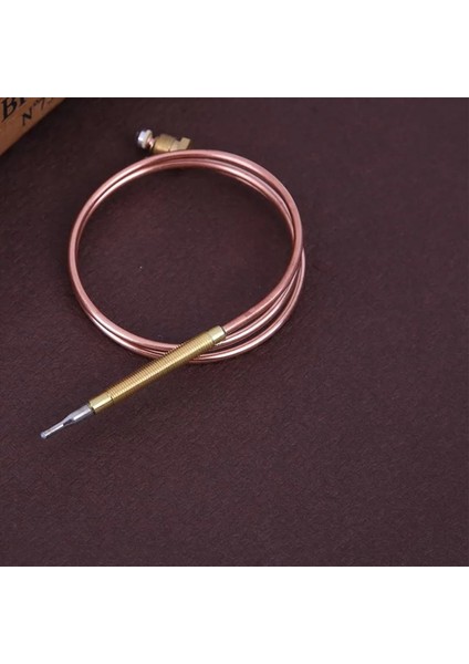 Şömineler, Kazalar ve Fırınlar Termokupl Onarım Aracı Için 60CM Evrensel Termokupl Valf Değiştirme Pimi (Yurt Dışından) modelleri