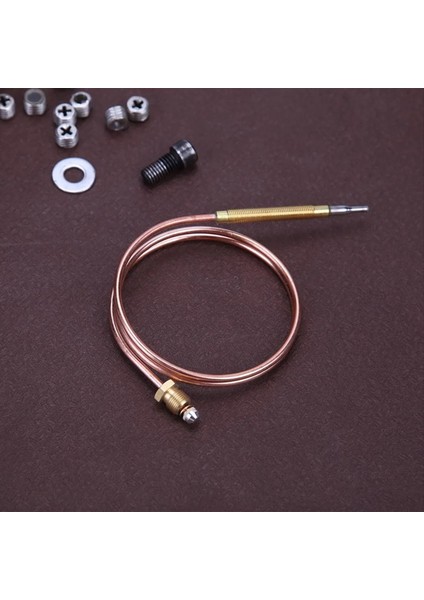 Şömineler, Kazalar ve Fırınlar Termokupl Onarım Aracı Için 60CM Evrensel Termokupl Valf Değiştirme Pimi (Yurt Dışından) fırsatları