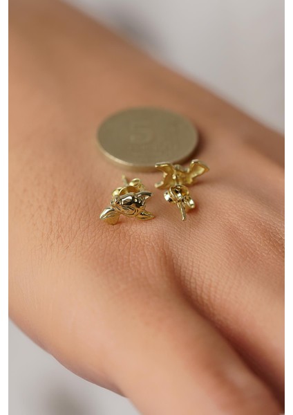 14 Ayar Altın Ceylan Küpe indirimleri